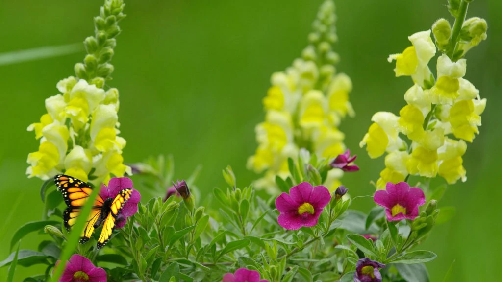 MICROSOFT RETAIL – SPRING VIDEO WALL SERIES